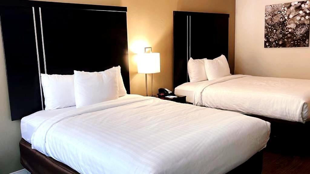 Clarion Inn & Suites ฟลอเรนซ์ ภายนอก รูปภาพ