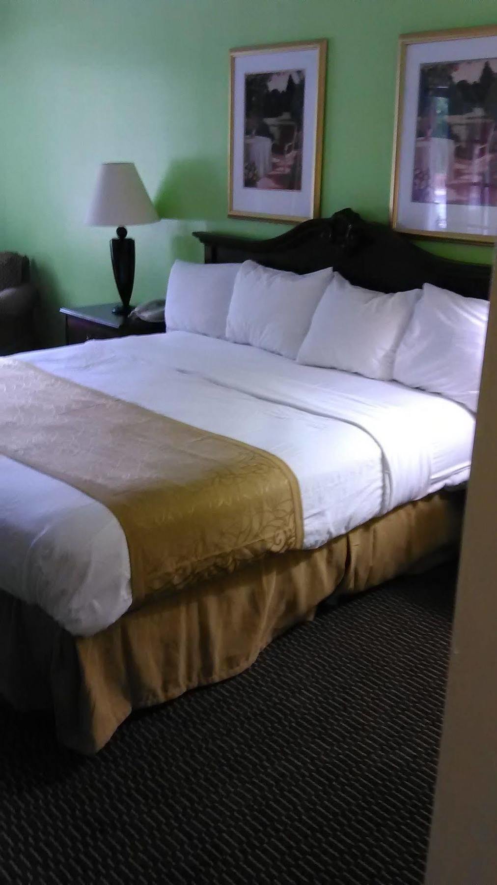 Clarion Inn & Suites ฟลอเรนซ์ ภายนอก รูปภาพ